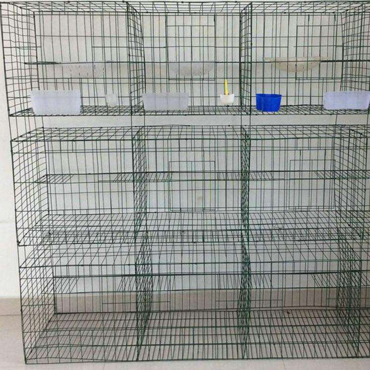 鸽子笼
